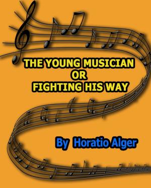 Book cover of THE YOUNG MUSICIAN or FIGHTING HIS WAY