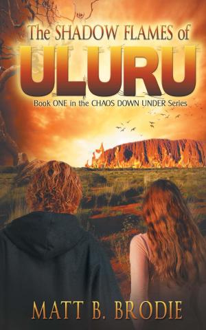 Book cover of THE SHADOW FLAMES OF ULURU