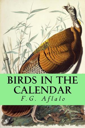 Cover of the book Birds in the Calendar by James Fenimore Cooper