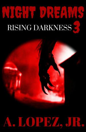 Cover of the book Rising Darkness by Tillie Olsen