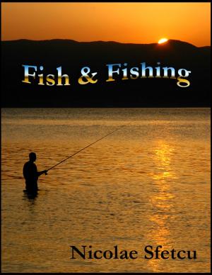 Book cover of Fish & Fishing