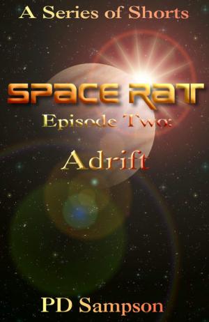 Cover of the book Adrift by J.T. McDaniel