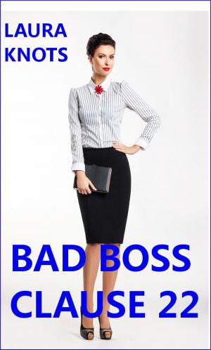Cover of the book Bad Boss Clause 22 by Laura Knots