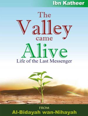 Cover of the book The Valley Came Alive by Collectif