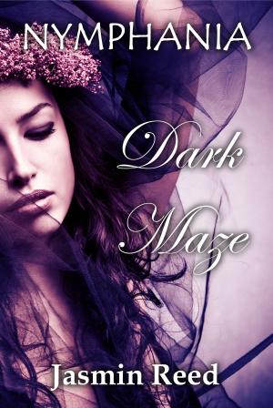 bigCover of the book Dark Maze by 