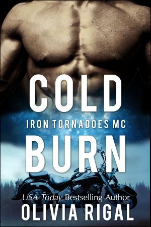 Cover of the book Cold Burn by Anastasia Amor