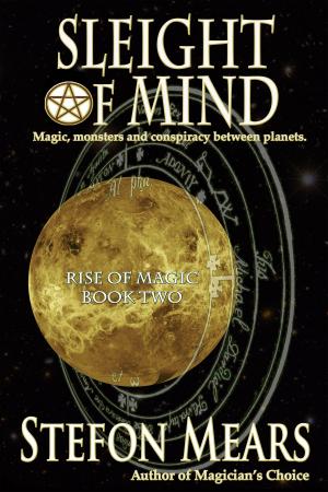 Book cover of Sleight of Mind