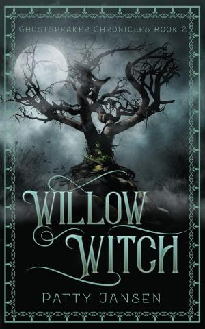 Cover of the book Willow Witch by Duane Katene