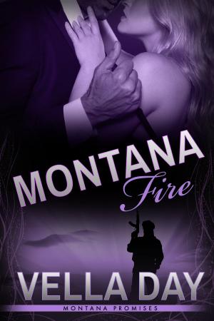Cover of the book Montana Fire by Marilyn Ludwig
