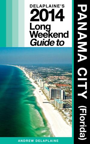 Book cover of PANAMA CITY (Fla.) - The Delaplaine 2014 Long Weekend Guide