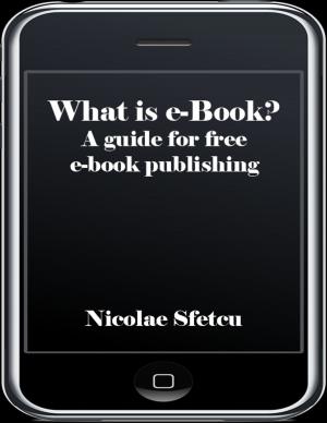 Cover of the book What is e-book? by Nicolae Sfetcu