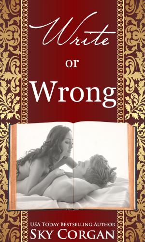 Cover of the book Write or Wrong by L C Dorsey