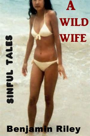 Cover of the book A Wild Wife by Steve Grammer