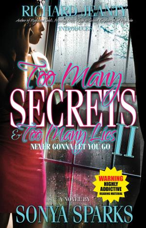 Cover of the book Too Many Secrets and Too Many Lies II by Richard Jeanty