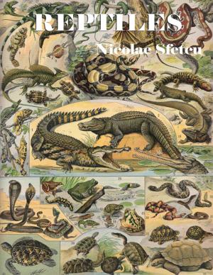 Cover of the book Reptiles by Nicolae Sfetcu