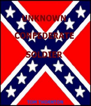 Book cover of UNKNOWN CONFEDERATE SOLDIER