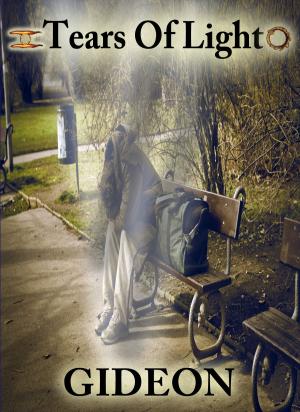 Cover of the book Tears of Light by Callie Hunter