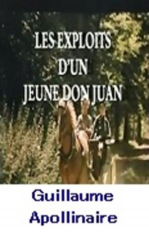 Cover of the book Les Exploits d’un jeune Don Juan by Nathaniel Hawthorne