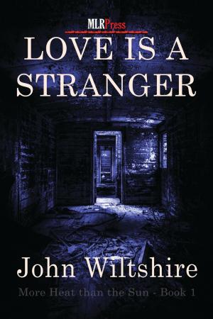 Cover of the book Love Is A Stranger by Cheryl Brooks