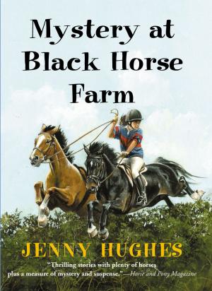 Book cover of Mystery at Black Horse Farm