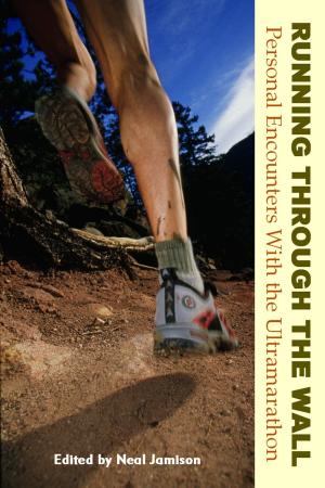 Cover of the book Running Through the Wall by Felicia Schneiderhan