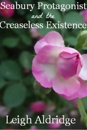 Book cover of Seabury Protagonist and the Creaseless Existence
