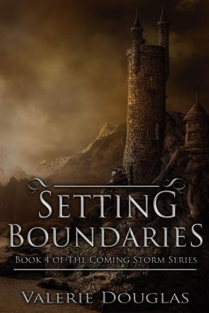 Book cover of Setting Boundaries