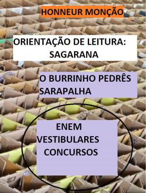 Cover of the book ORIENTAÇÃO DE LEITURA: SAGARANA by Judas Wilkinson