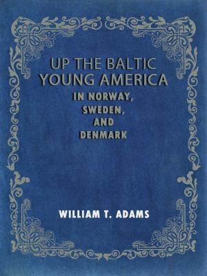 Cover of the book Up The Baltic Young America In Norway Sweden And Denmark by Chris Dodson