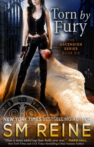 Cover of the book Torn by Fury by Anna Sanders