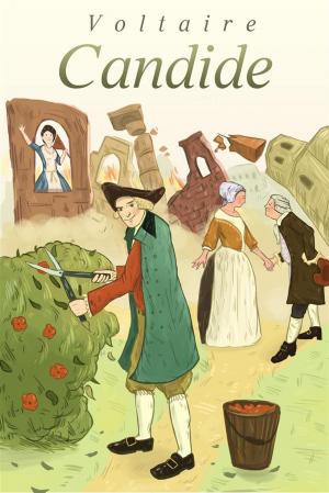 Cover of the book Candide by Joseph Conrad