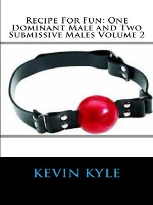 Book cover of Recipe For Fun: One Dominant Male and Two Submissive Males Volume 2