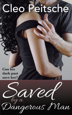 Cover of the book Saved by a Dangerous Man by Annette Blair, Lynn Jenssen, Christine Mazurk, Jeanine Duval Spikes