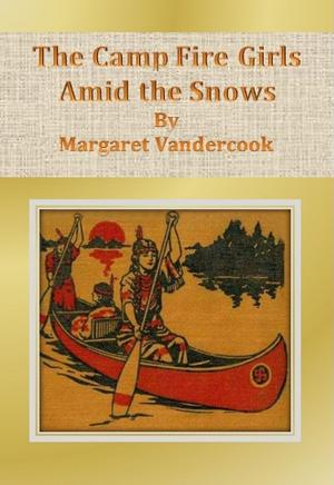 Book cover of The Camp Fire Girls Amid the Snows