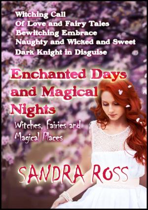 bigCover of the book Enchanted Days and Magical Nights by 