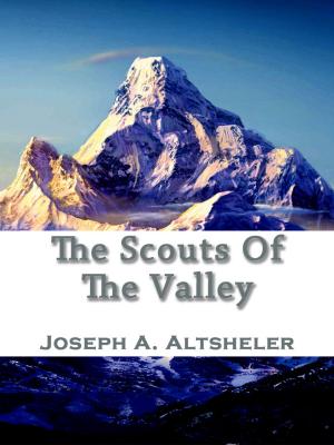 Book cover of The Scouts Of The Valley