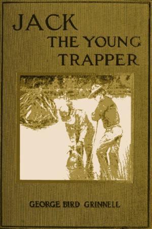 Cover of the book Jack the Young Trapper by Frederik van Eeden