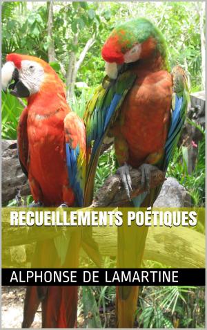 Cover of the book Recueillements Poétiques by Joseph Henri Boex dit Rosny Aîné