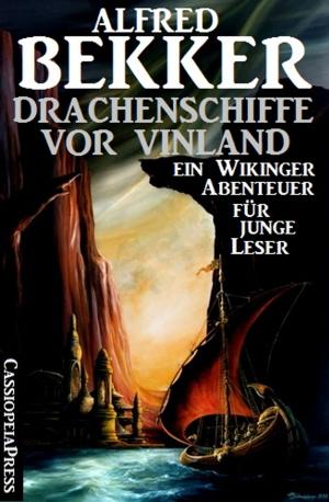 Cover of the book Drachenschiffe vor Vinland by Pete Hackett