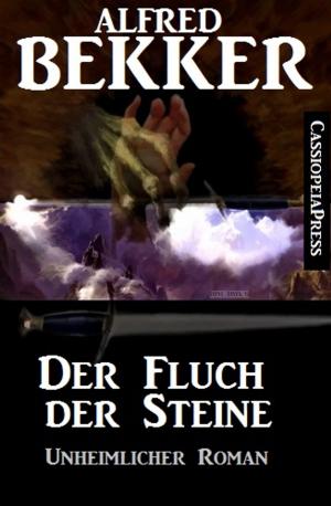 Cover of the book Der Fluch der Steine: Unheimlicher Roman by Benjamin D. Baker