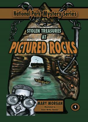Cover of the book Stolen Treasure at the Pictured Rocks by D K Girl