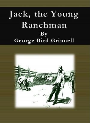 Cover of the book Jack, the Young Ranchman by George Allan England
