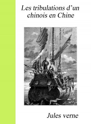 bigCover of the book Les tribulations d'un chinois en Chine by 