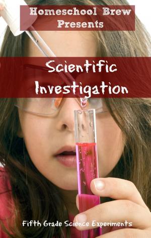 bigCover of the book Scientific Investigation by 