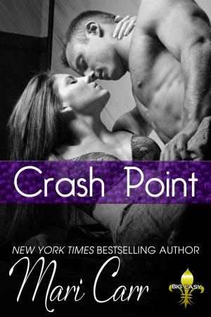 Cover of the book Crash Point by Hannah Fletcher