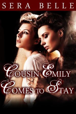 Book cover of Emily Comes to Stay