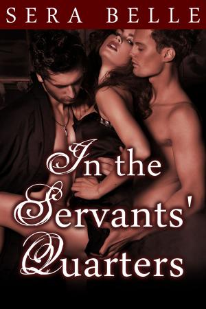 Cover of the book In the Servants' Quarters by Julie Johnstone