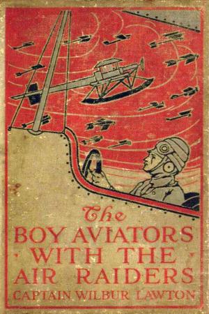 Cover of the book The Boy Aviators with the Air Raiders by Florence Holbrook