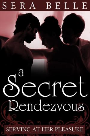 Cover of the book A Secret Rendez-vous by Tanya Bird