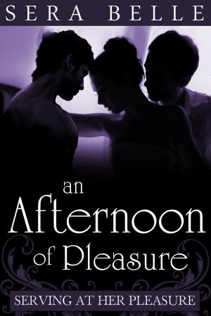 Book cover of An Afternoon of Pleasure